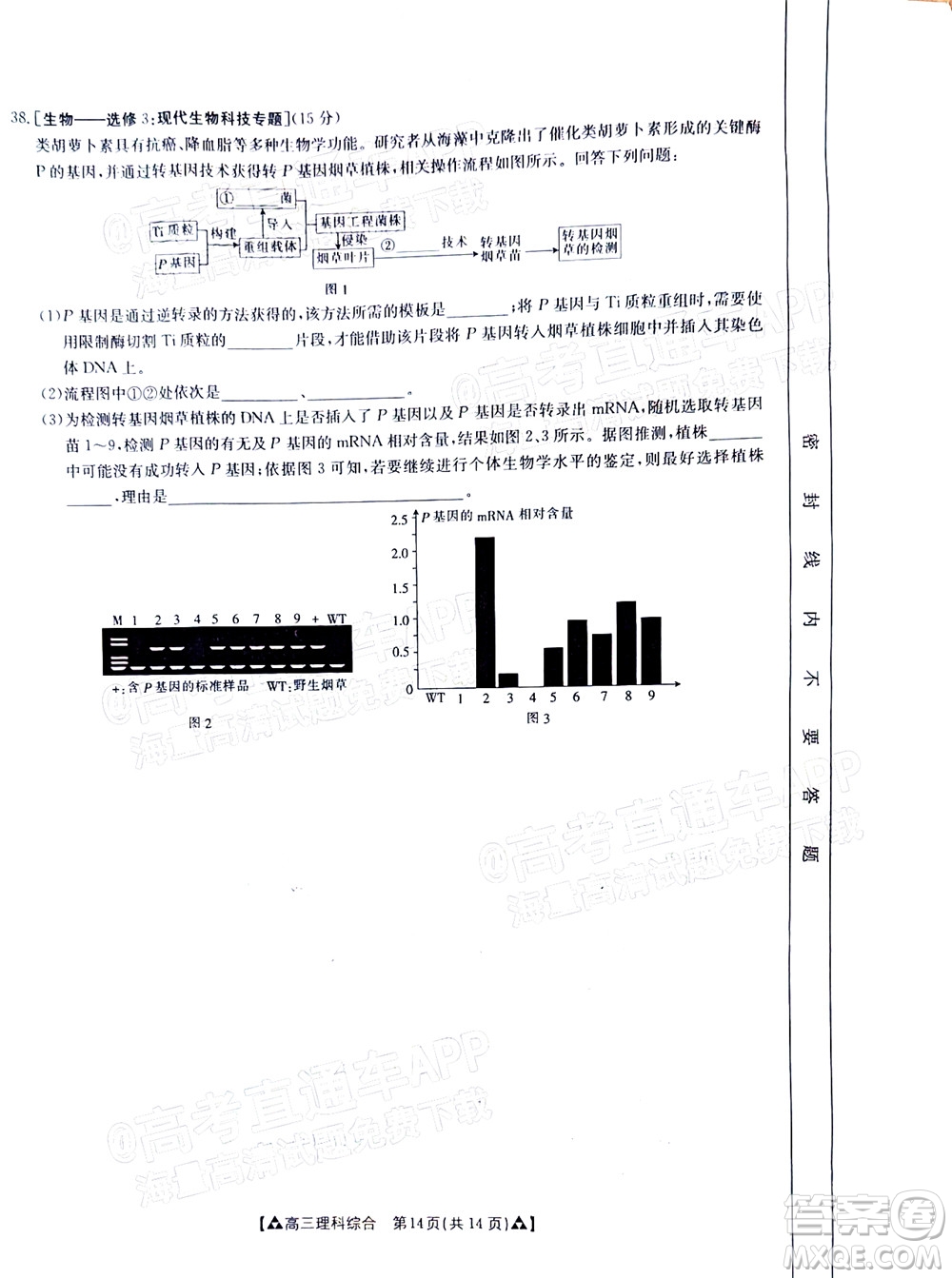 2022屆西南四省金太陽12月聯(lián)考高三理科綜合試題及答案
