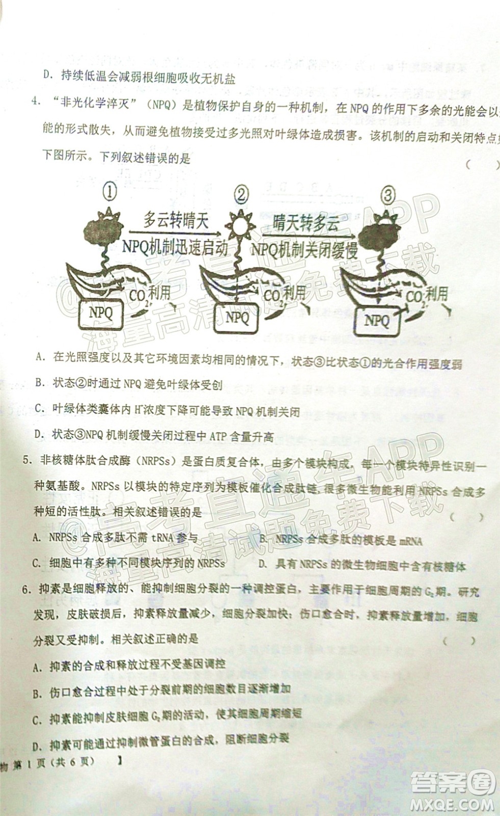 鐵嶺市六校協(xié)作體2021-2022學(xué)年度高三四聯(lián)考試生物試卷及答案