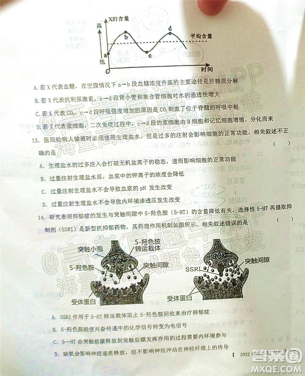 鐵嶺市六校協(xié)作體2021-2022學(xué)年度高三四聯(lián)考試生物試卷及答案