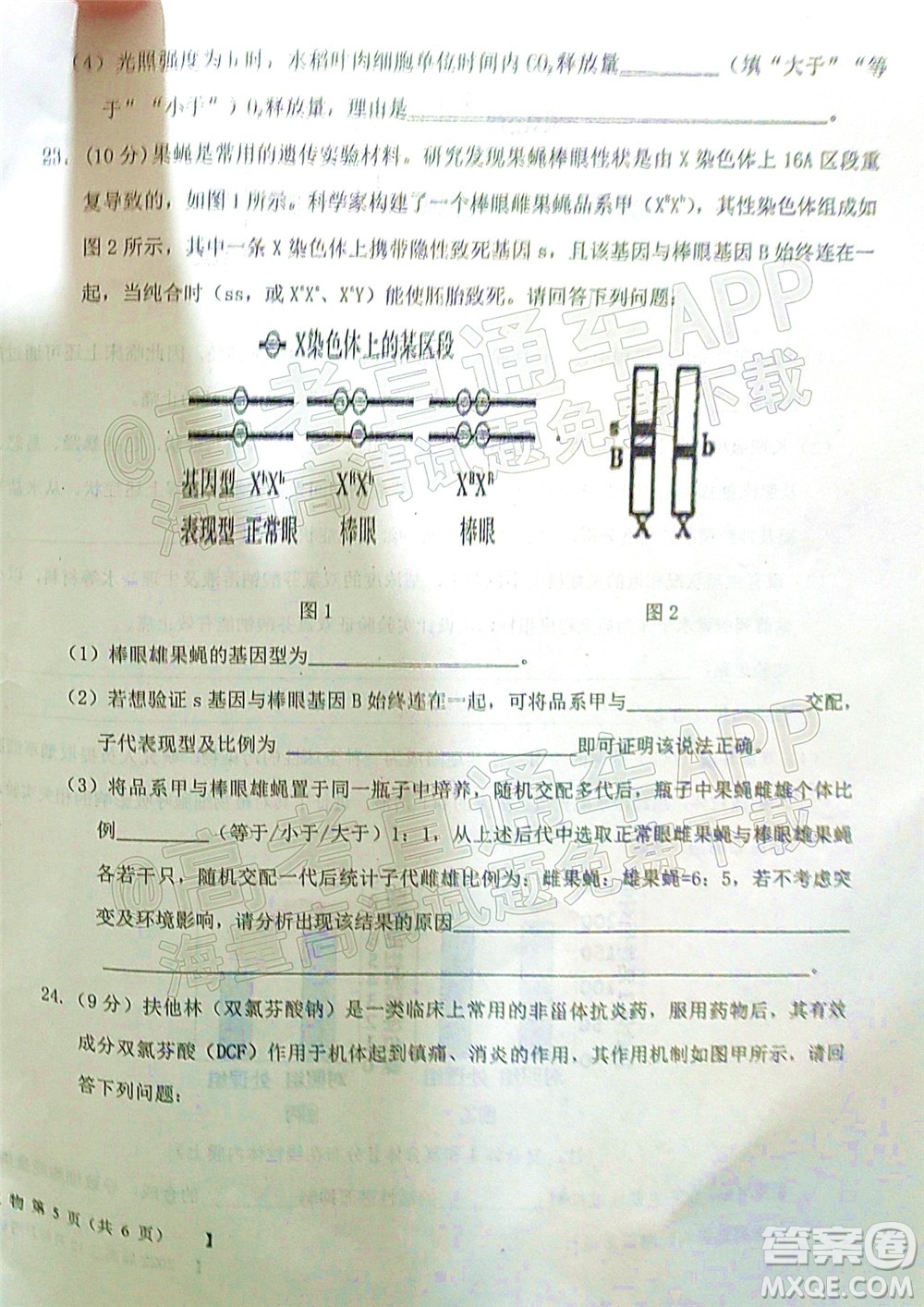 鐵嶺市六校協(xié)作體2021-2022學(xué)年度高三四聯(lián)考試生物試卷及答案