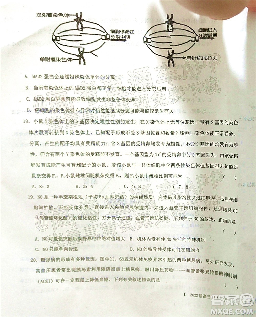 鐵嶺市六校協(xié)作體2021-2022學(xué)年度高三四聯(lián)考試生物試卷及答案