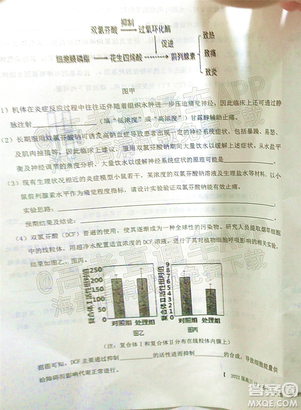 鐵嶺市六校協(xié)作體2021-2022學(xué)年度高三四聯(lián)考試生物試卷及答案
