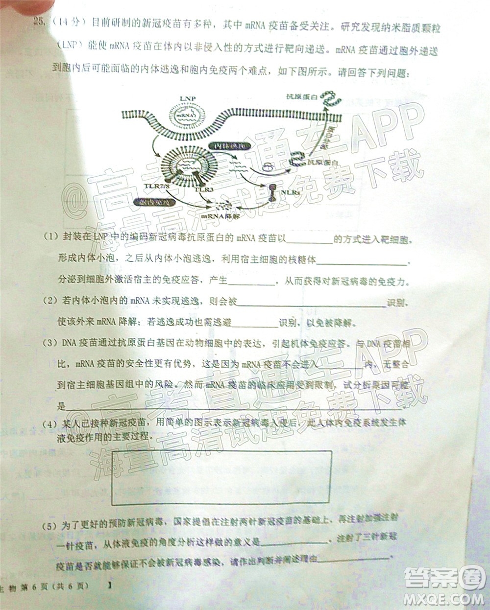 鐵嶺市六校協(xié)作體2021-2022學(xué)年度高三四聯(lián)考試生物試卷及答案
