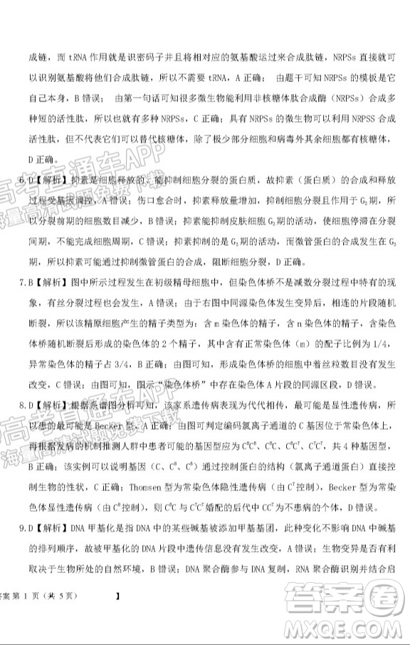 鐵嶺市六校協(xié)作體2021-2022學(xué)年度高三四聯(lián)考試生物試卷及答案