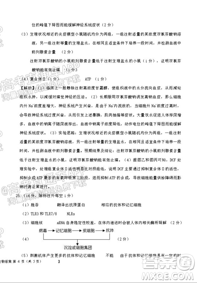 鐵嶺市六校協(xié)作體2021-2022學(xué)年度高三四聯(lián)考試生物試卷及答案