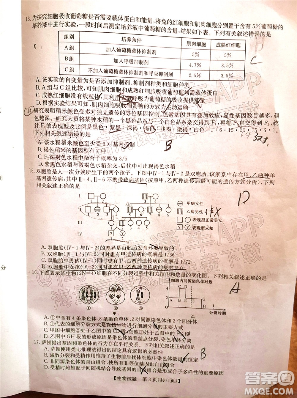 蒙城一中渦陽一中淮南一中懷遠一中潁上一中2022屆高三第一次五校聯(lián)考生物試題及答案