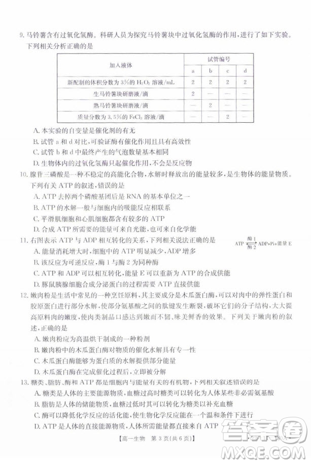 2021年河北金太陽高一12月聯(lián)考生物試題及答案