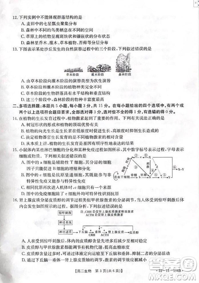2021年河北金太陽高二12月聯(lián)考生物試題及答案