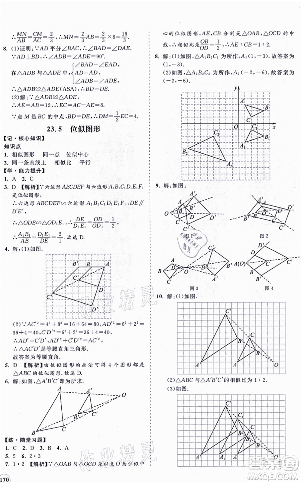 海南出版社2021新課程同步練習(xí)冊九年級數(shù)學(xué)上冊華東師大版答案
