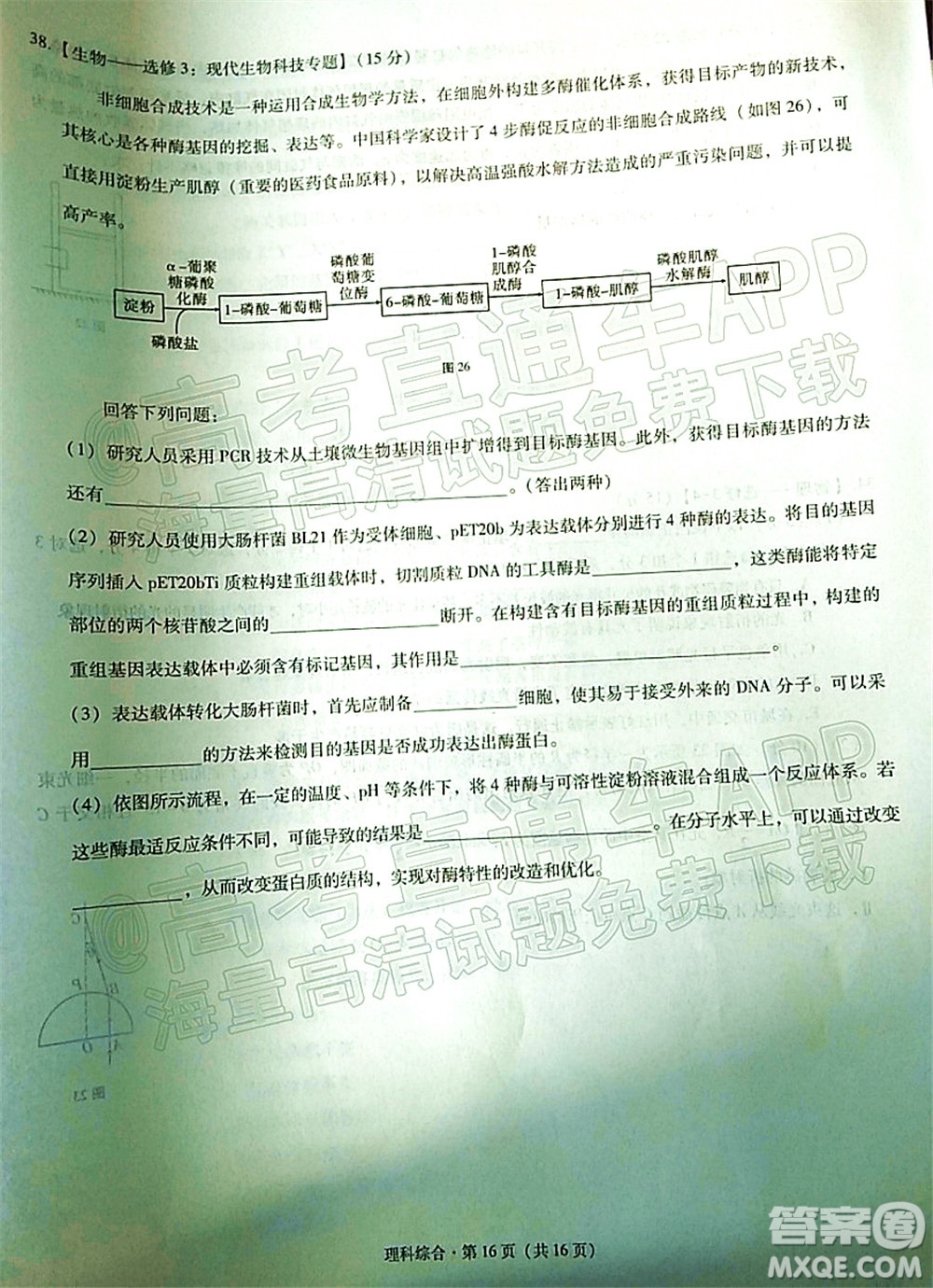 貴陽市五校2022屆高三年級聯(lián)合考試四理科綜合試題及答案