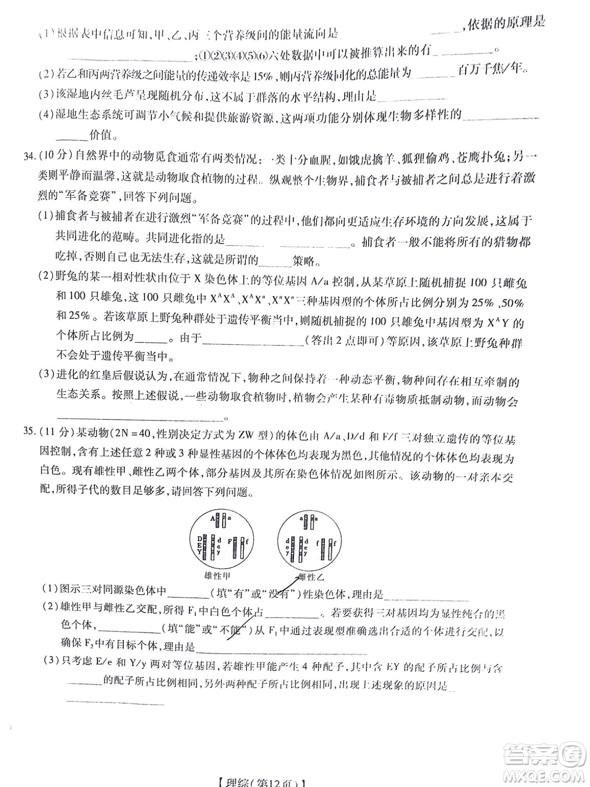 智慧上進(jìn)2021-2022學(xué)年高三總復(fù)習(xí)階段性檢測(cè)考試?yán)砜凭C合試題及答案