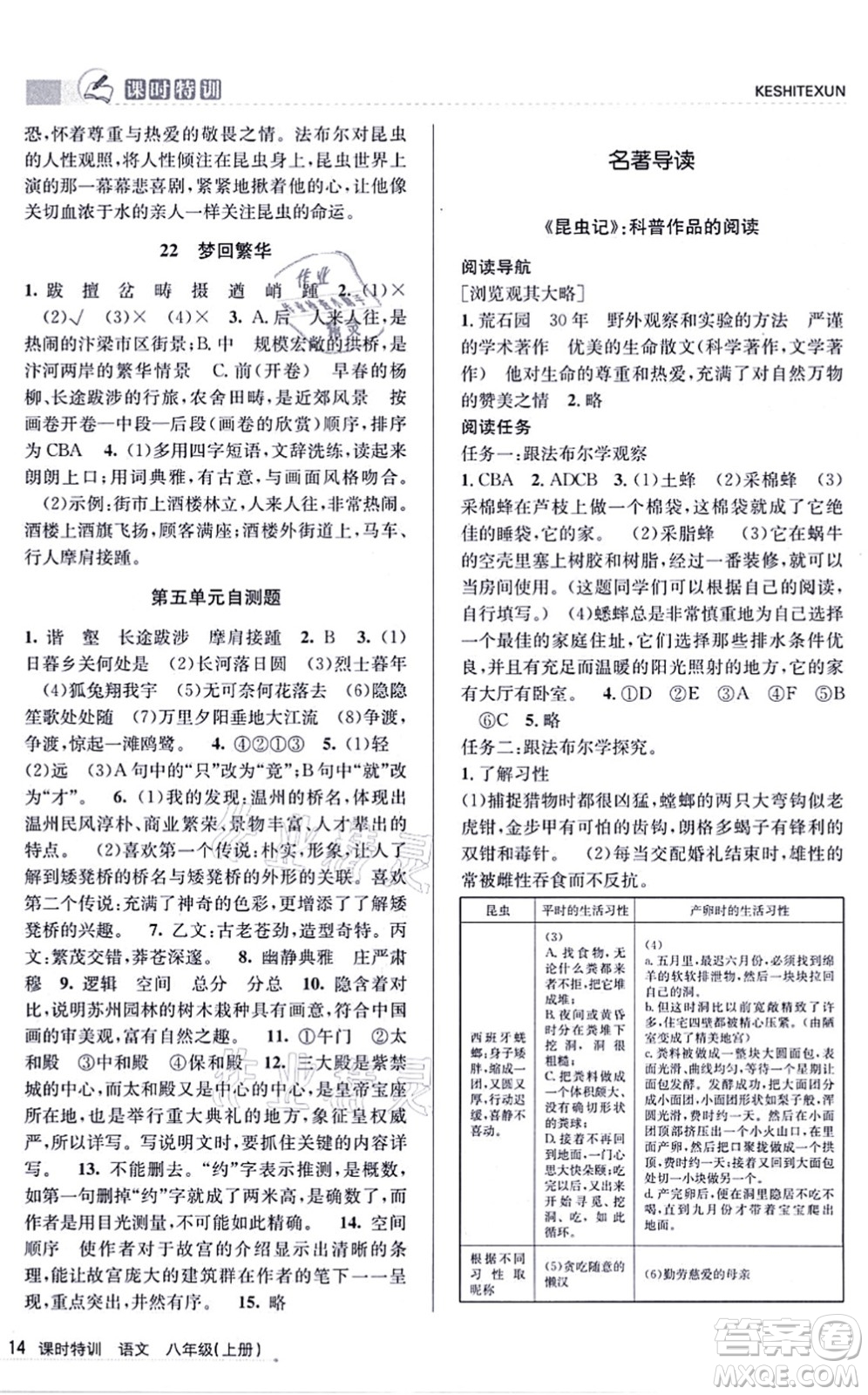 浙江人民出版社2021課時特訓八年級語文上冊R人教版答案