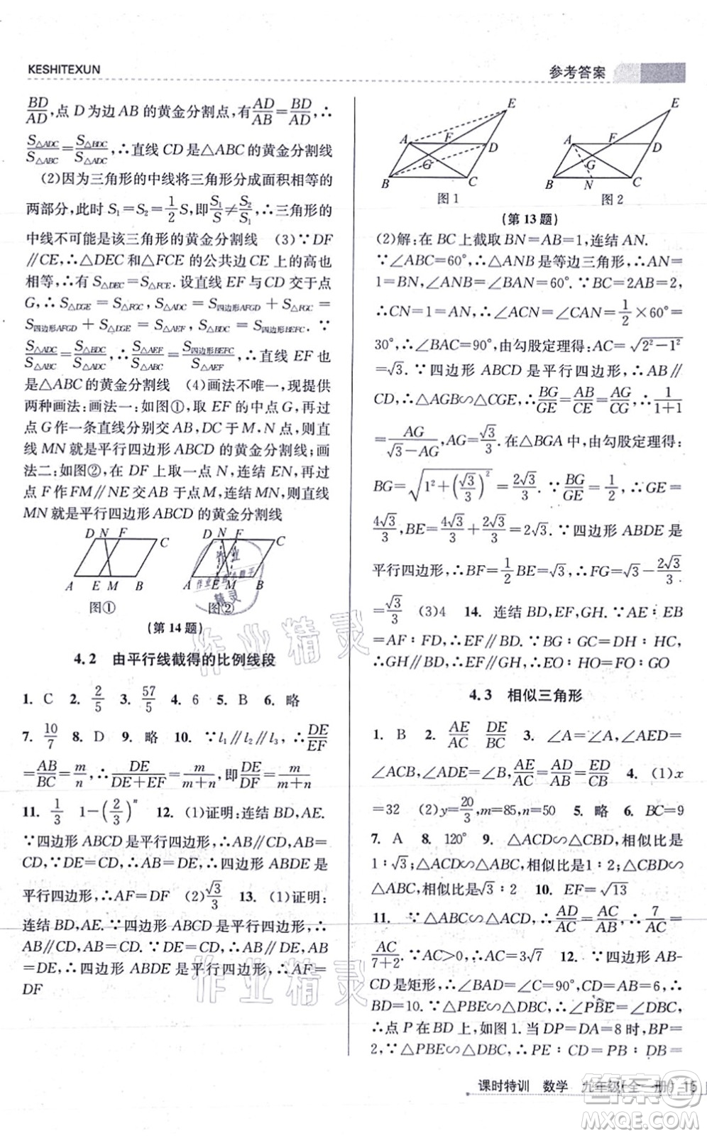 浙江人民出版社2021課時特訓(xùn)九年級數(shù)學(xué)全一冊Z浙教版答案