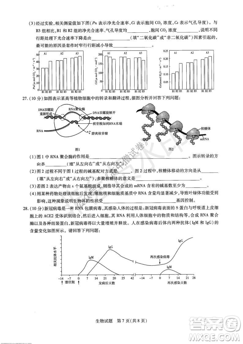天一大聯(lián)考2021-2022學年上高三年級名校聯(lián)盟考試生物試題及答案