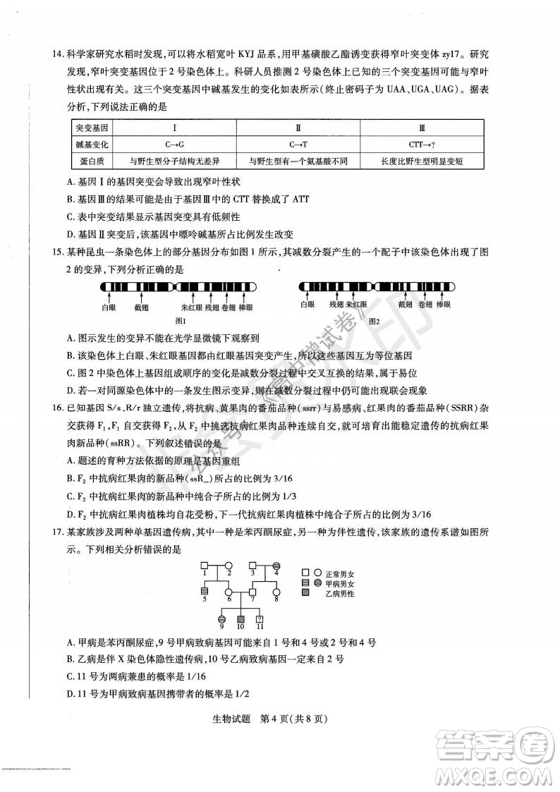 天一大聯(lián)考2021-2022學年上高三年級名校聯(lián)盟考試生物試題及答案