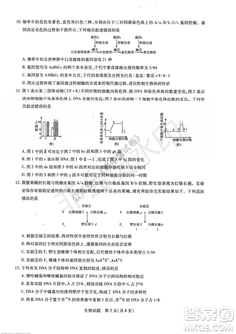 天一大聯(lián)考2021-2022學年上高三年級名校聯(lián)盟考試生物試題及答案