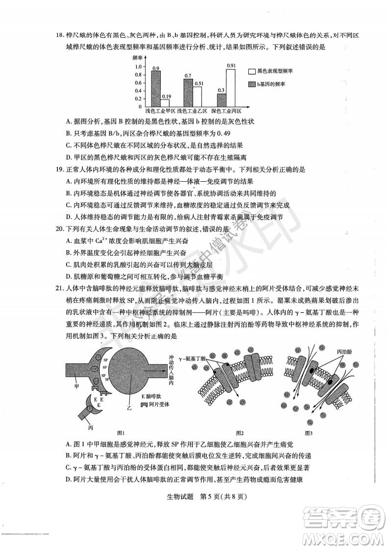 天一大聯(lián)考2021-2022學年上高三年級名校聯(lián)盟考試生物試題及答案