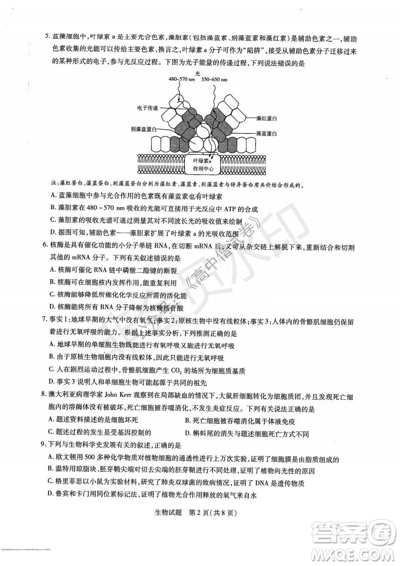 天一大聯(lián)考2021-2022學年上高三年級名校聯(lián)盟考試生物試題及答案