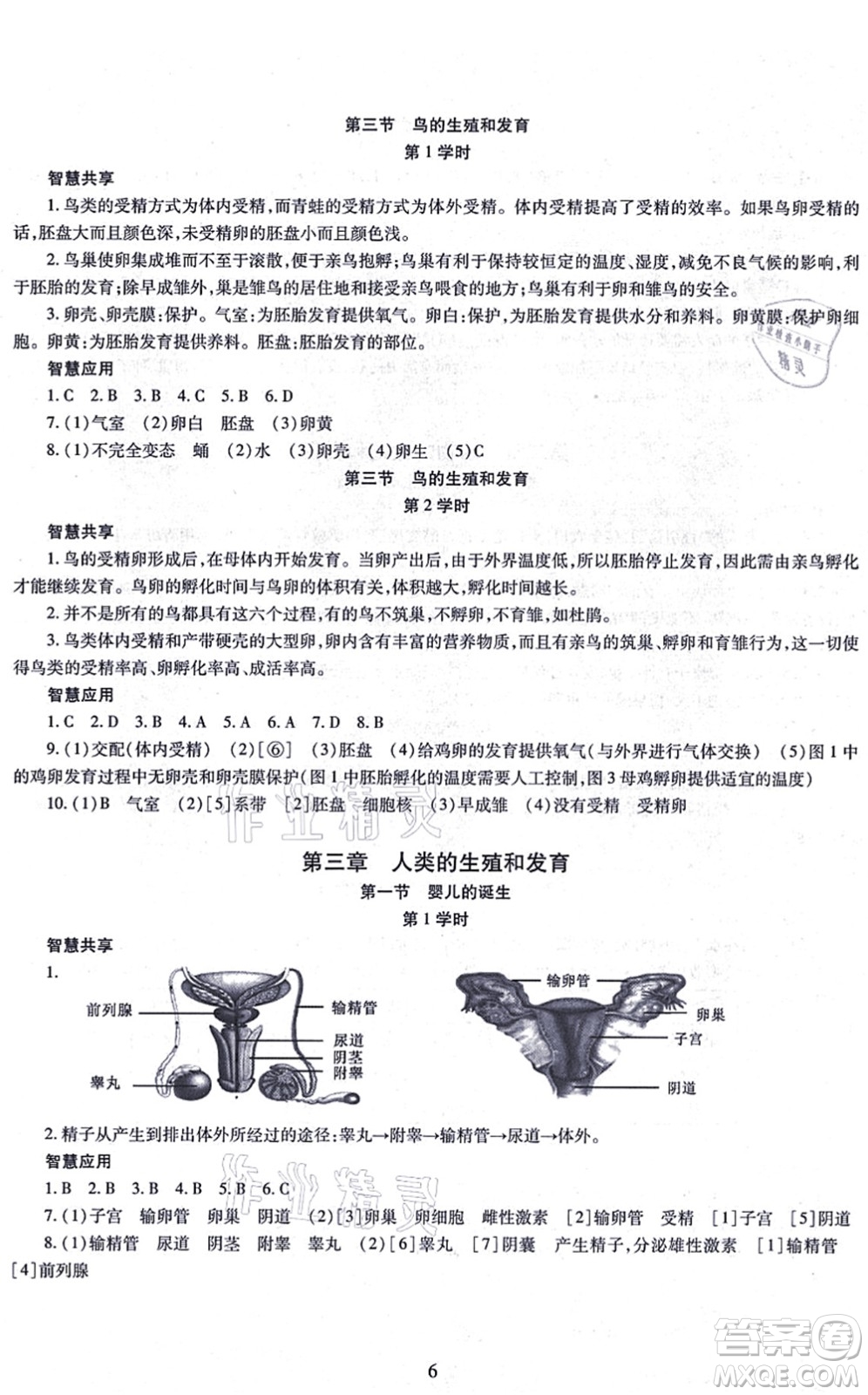 明天出版社2021智慧學(xué)習(xí)導(dǎo)學(xué)練八年級(jí)生物全一冊(cè)人教版答案