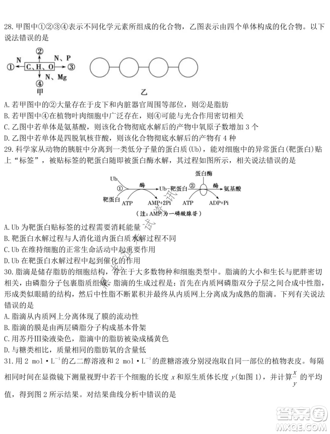 鐵人中學2021級高一學年上學期期末考試生物試題及答案