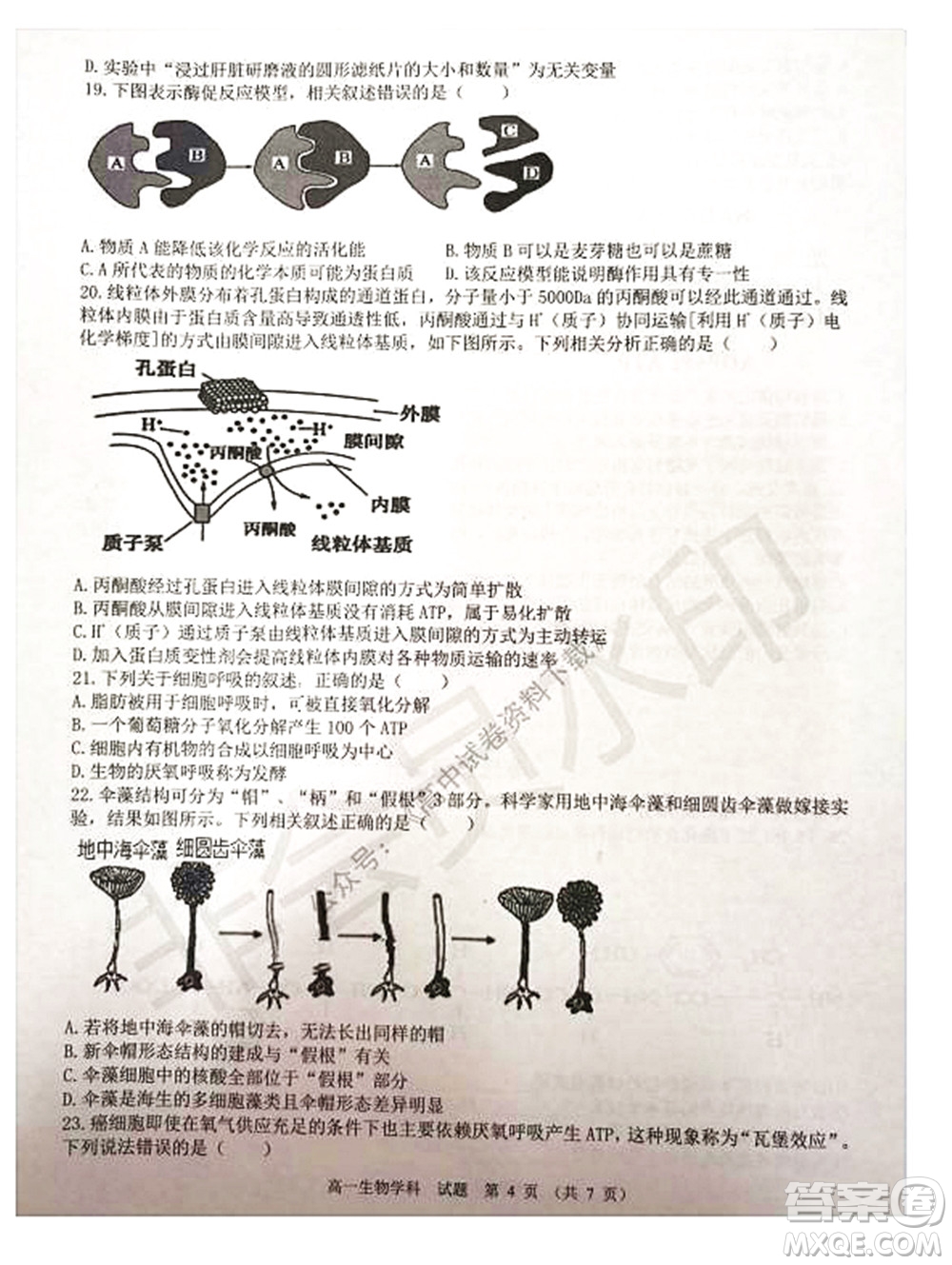 2021學年第一學期浙江省精誠聯(lián)盟12月聯(lián)考高一生物試題及答案