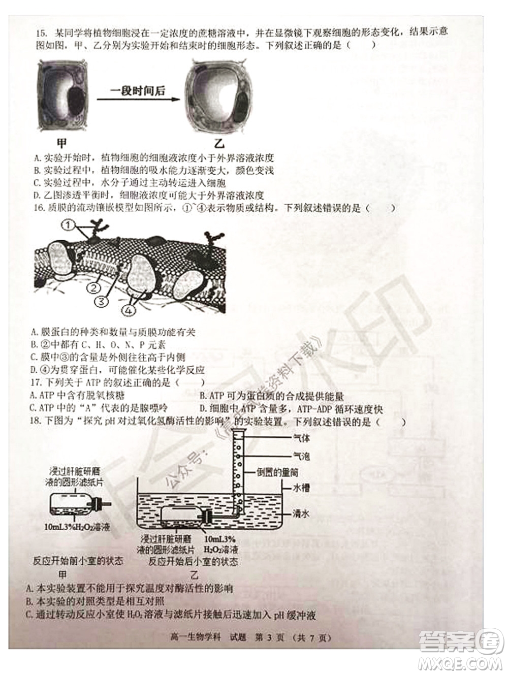 2021學年第一學期浙江省精誠聯(lián)盟12月聯(lián)考高一生物試題及答案