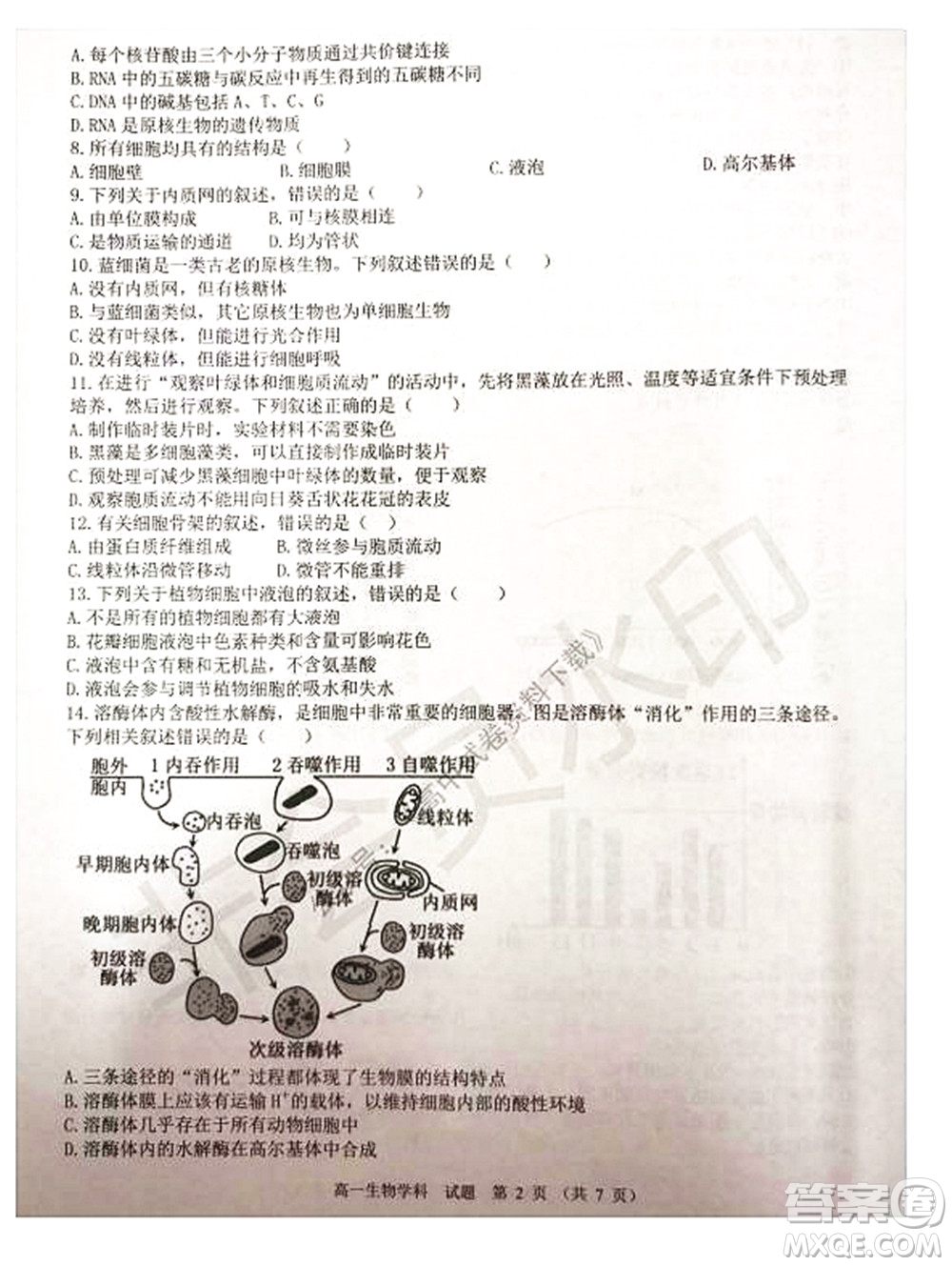 2021學年第一學期浙江省精誠聯(lián)盟12月聯(lián)考高一生物試題及答案