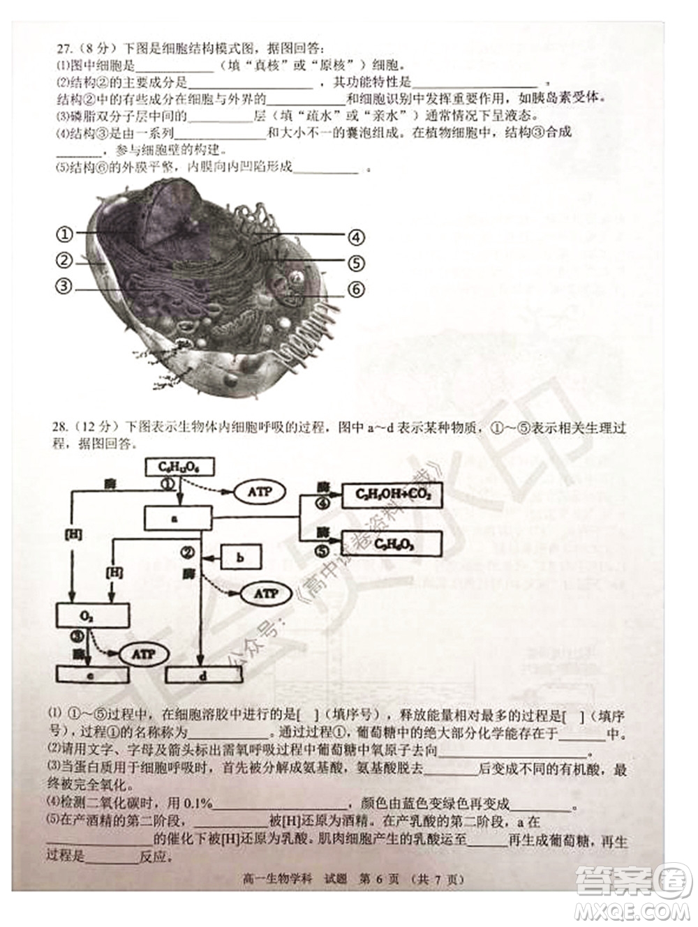 2021學年第一學期浙江省精誠聯(lián)盟12月聯(lián)考高一生物試題及答案