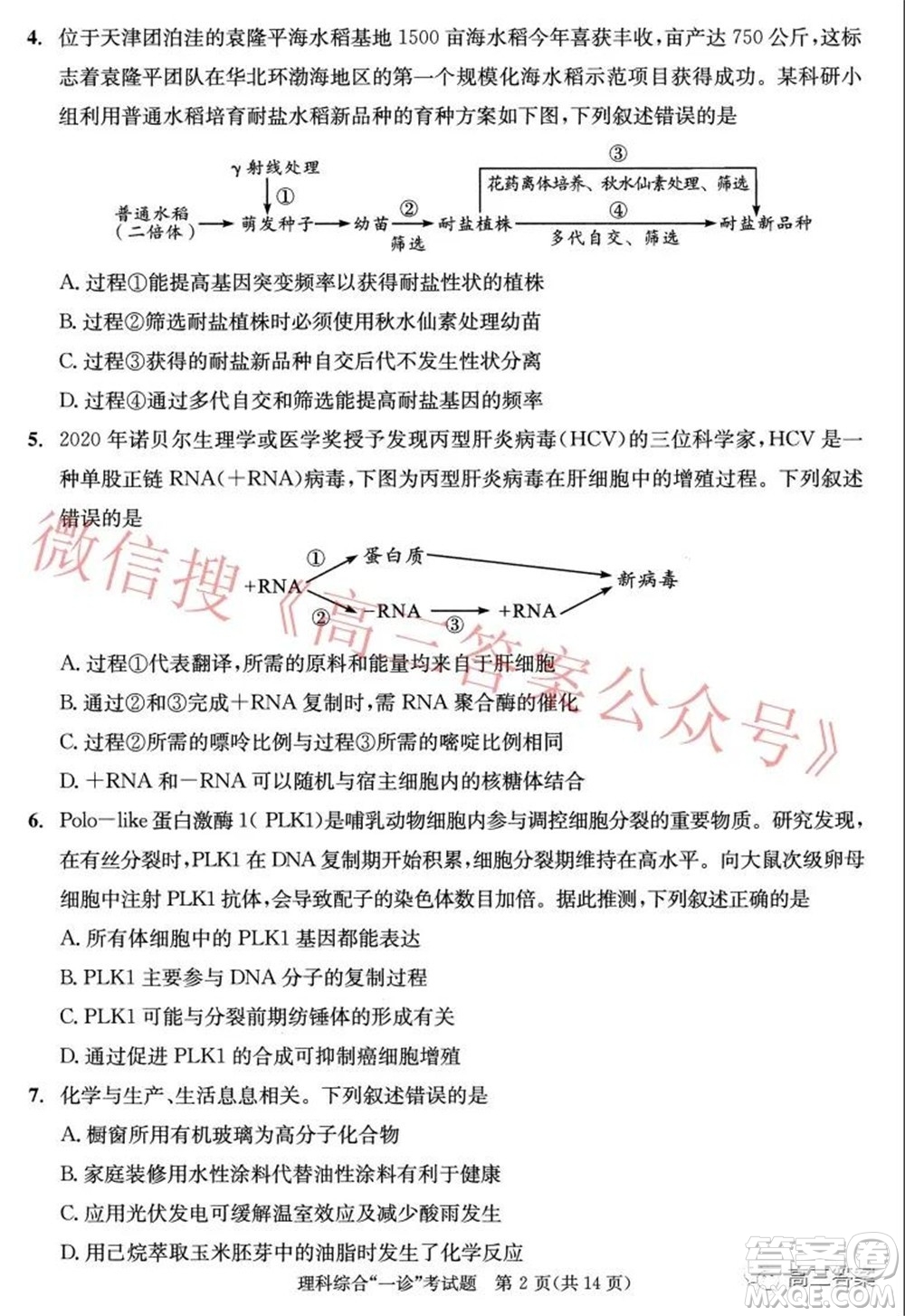 成都市2019級高中畢業(yè)班第一次診斷性檢測理科綜合試題及答案
