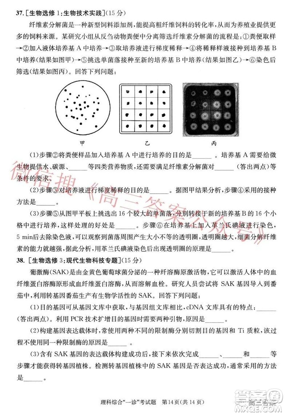 成都市2019級高中畢業(yè)班第一次診斷性檢測理科綜合試題及答案