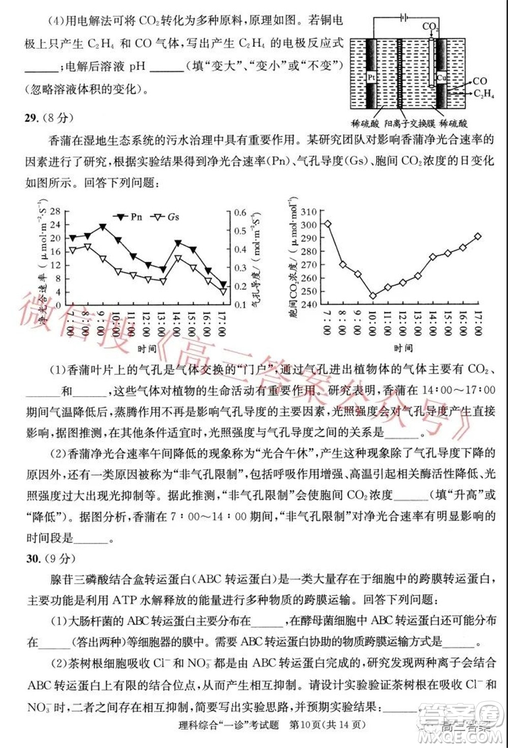 成都市2019級高中畢業(yè)班第一次診斷性檢測理科綜合試題及答案