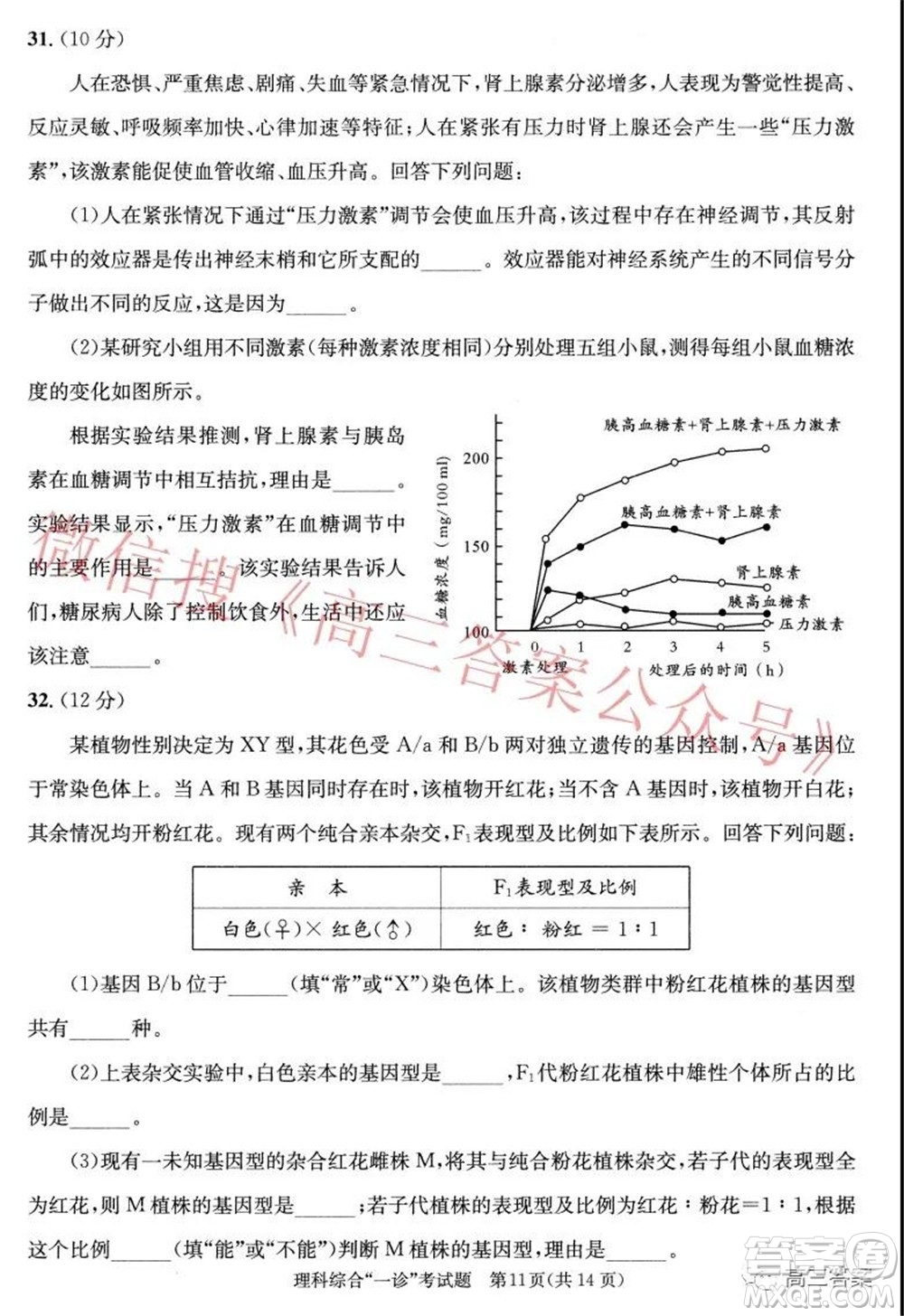 成都市2019級高中畢業(yè)班第一次診斷性檢測理科綜合試題及答案