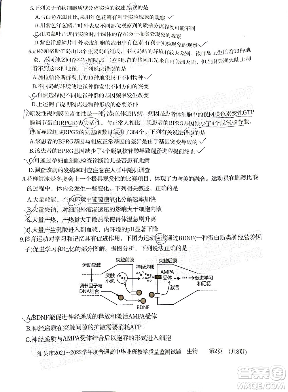 汕頭市2021-2022學(xué)年度普通高中畢業(yè)班教學(xué)質(zhì)量監(jiān)測試題生物答案