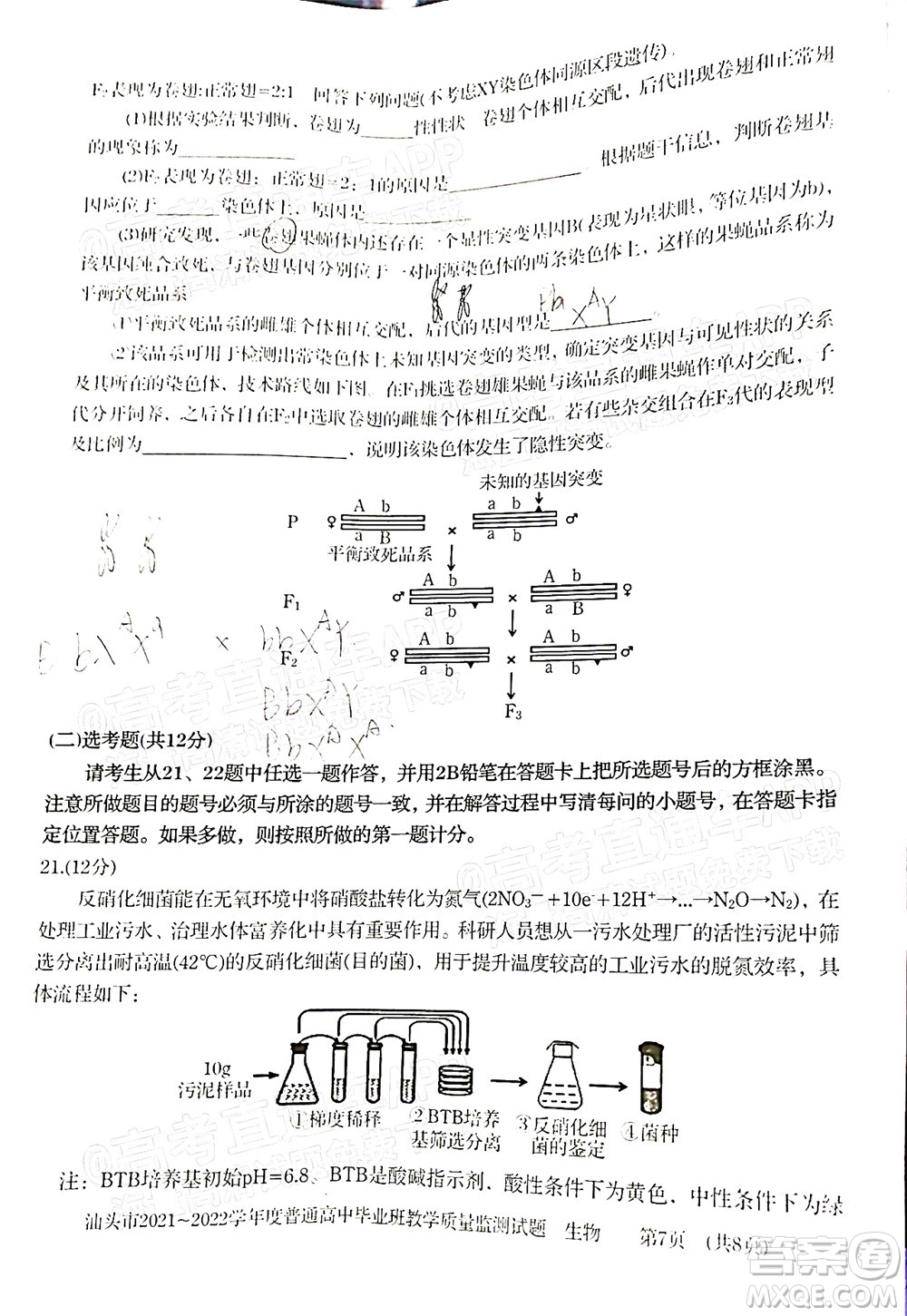 汕頭市2021-2022學(xué)年度普通高中畢業(yè)班教學(xué)質(zhì)量監(jiān)測試題生物答案