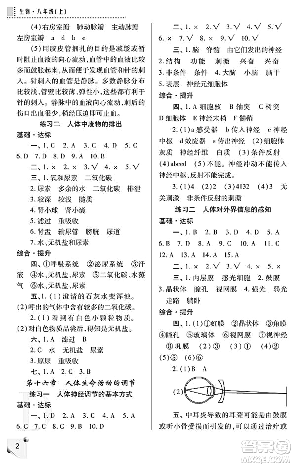 陜西師范大學(xué)出版總社2021課堂練習(xí)冊八年級生物上冊D蘇科版答案