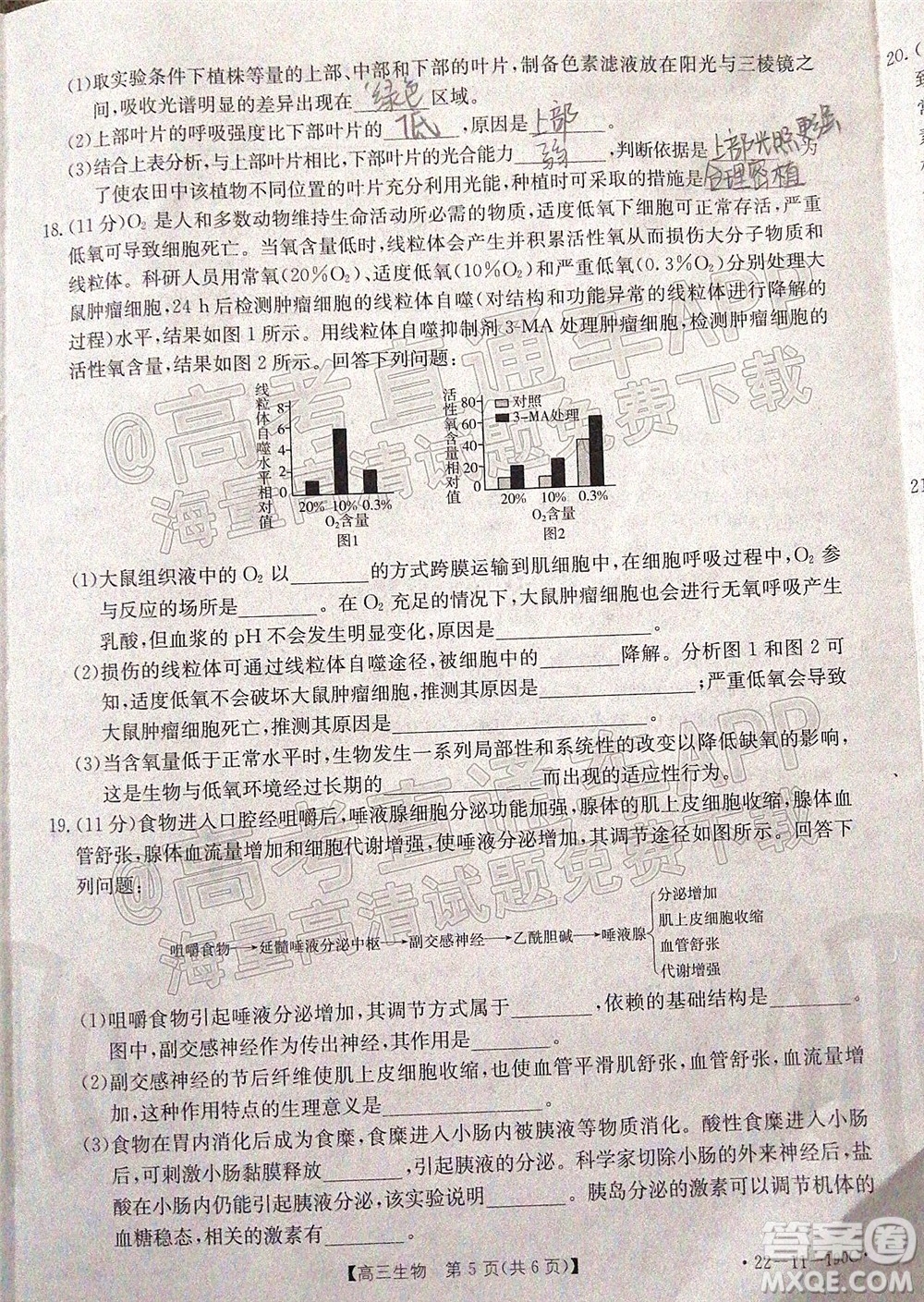 2022屆湖南金太陽高三12月聯(lián)考生物試題及答案