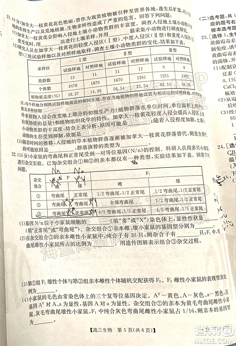 2022屆河北省名校聯(lián)盟高三一輪收官考試生物試題及答案