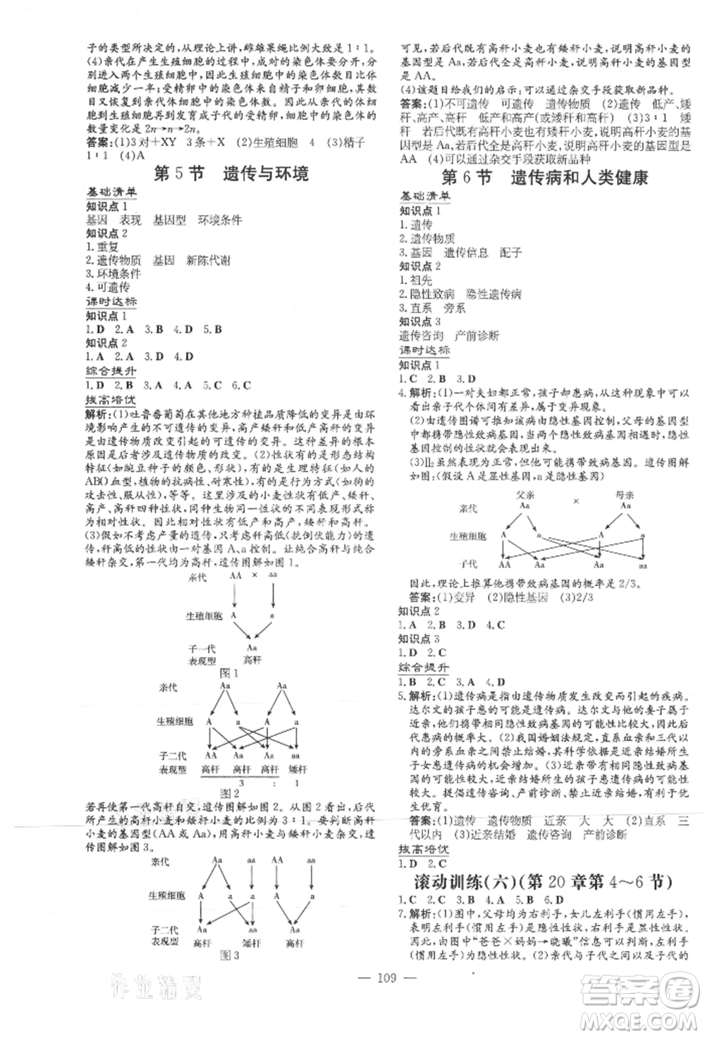 吉林教育出版社2021練案課時作業(yè)本八年級生物學(xué)上冊北師大版參考答案