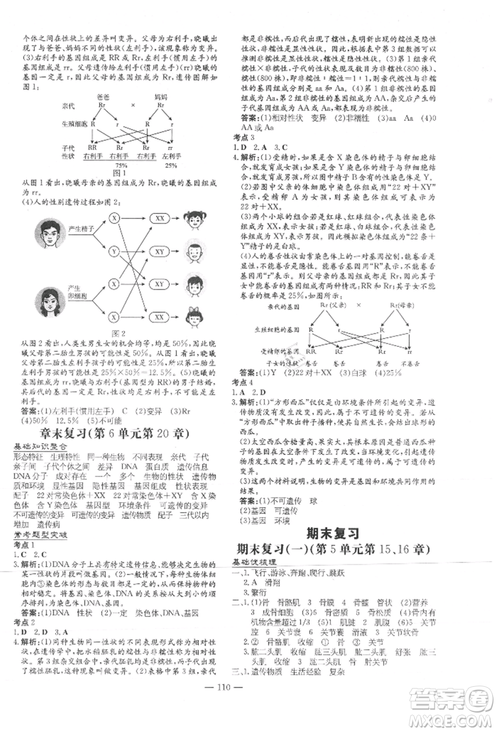 吉林教育出版社2021練案課時作業(yè)本八年級生物學(xué)上冊北師大版參考答案