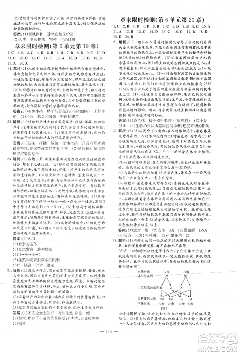 吉林教育出版社2021練案課時作業(yè)本八年級生物學(xué)上冊北師大版參考答案