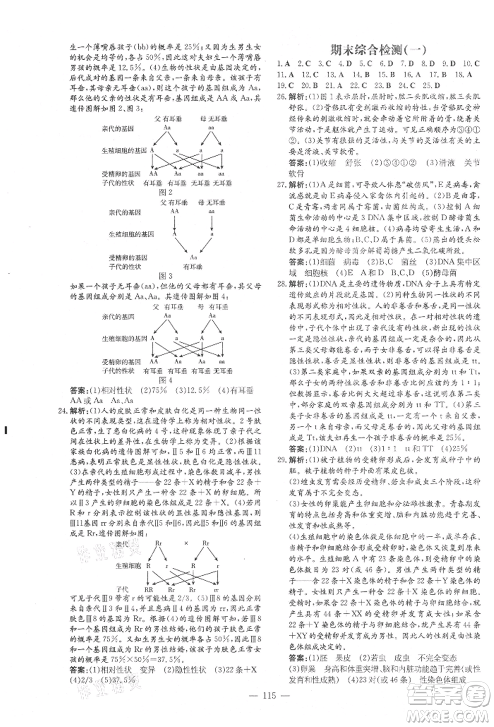吉林教育出版社2021練案課時作業(yè)本八年級生物學(xué)上冊北師大版參考答案