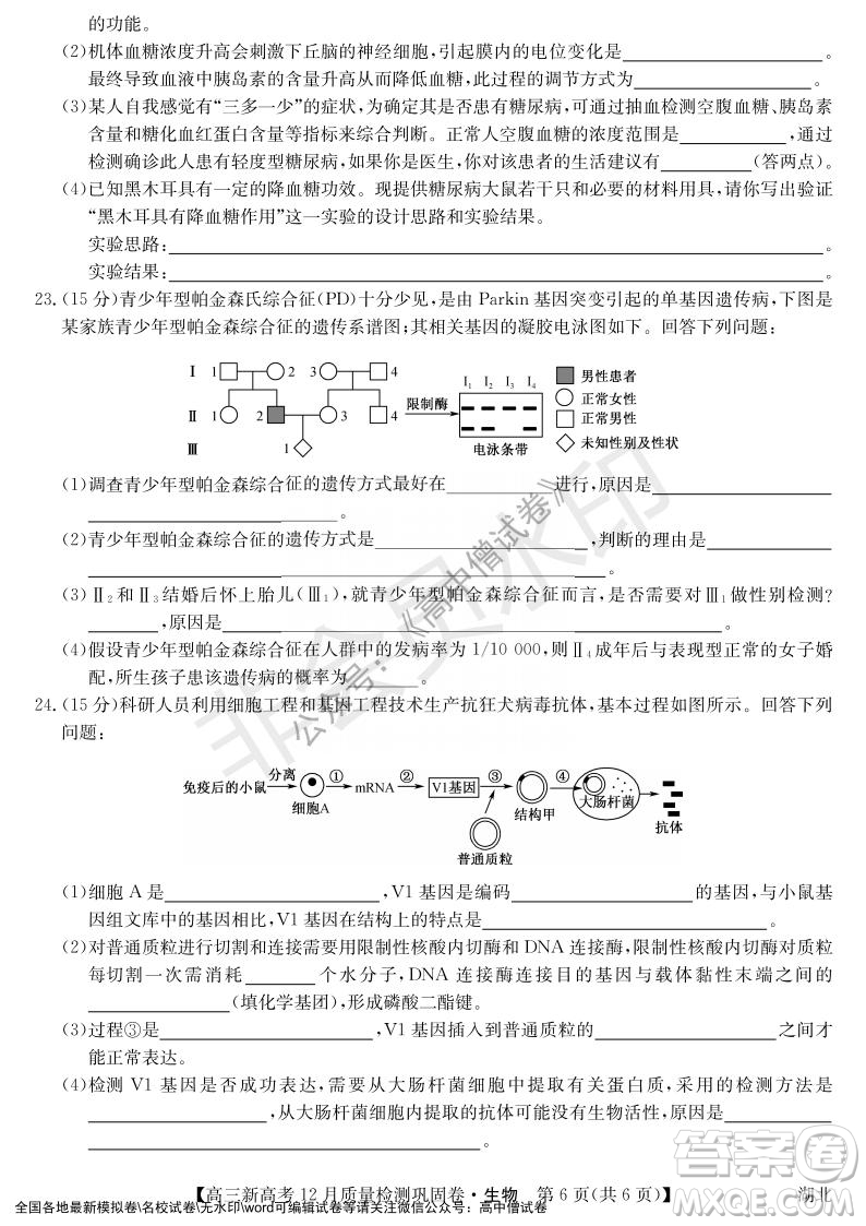 九師聯(lián)盟2021-2022學(xué)年高三新高考12月質(zhì)量檢測(cè)鞏固卷湖北卷生物試題及答案