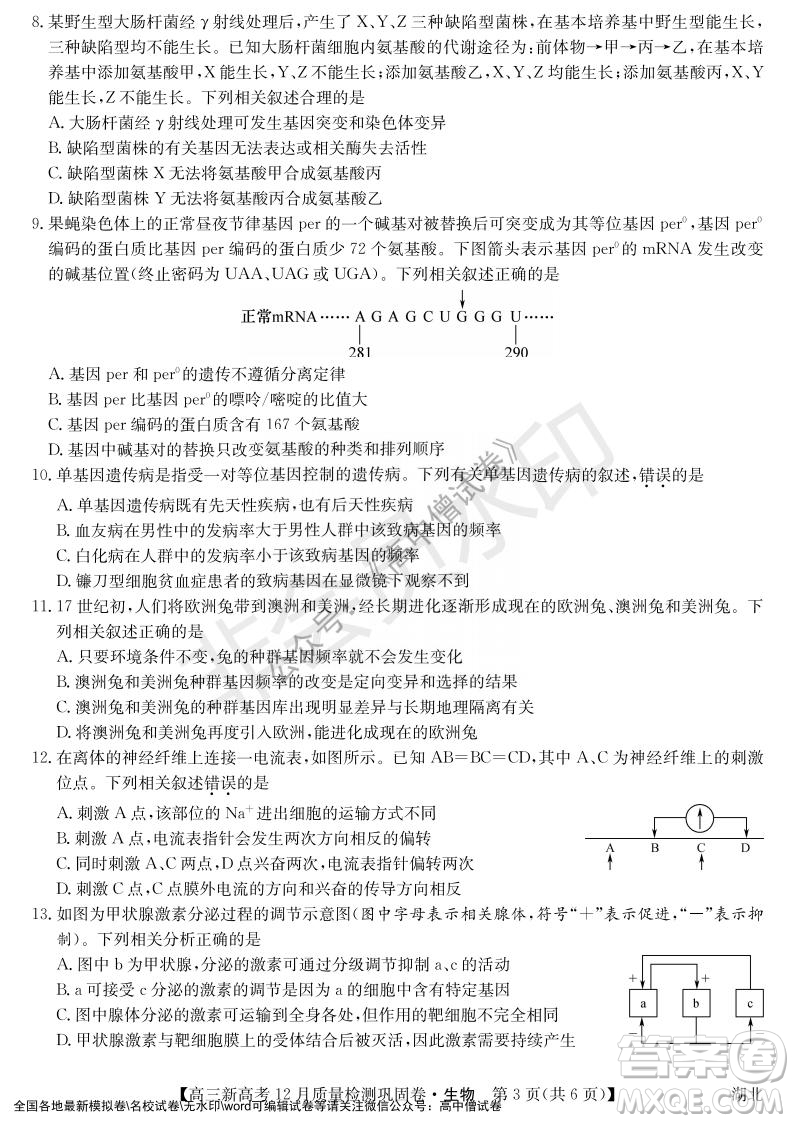 九師聯(lián)盟2021-2022學(xué)年高三新高考12月質(zhì)量檢測(cè)鞏固卷湖北卷生物試題及答案