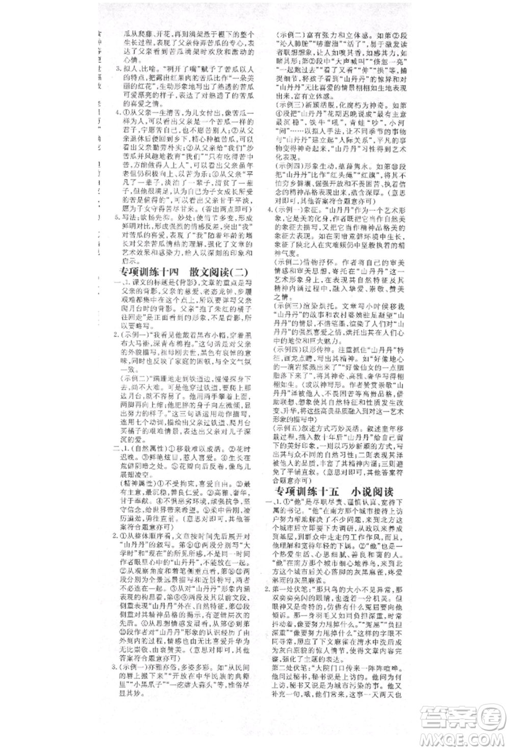 陜西人民教育出版社2021練案五四學(xué)制八年級(jí)語(yǔ)文上冊(cè)人教版參考答案