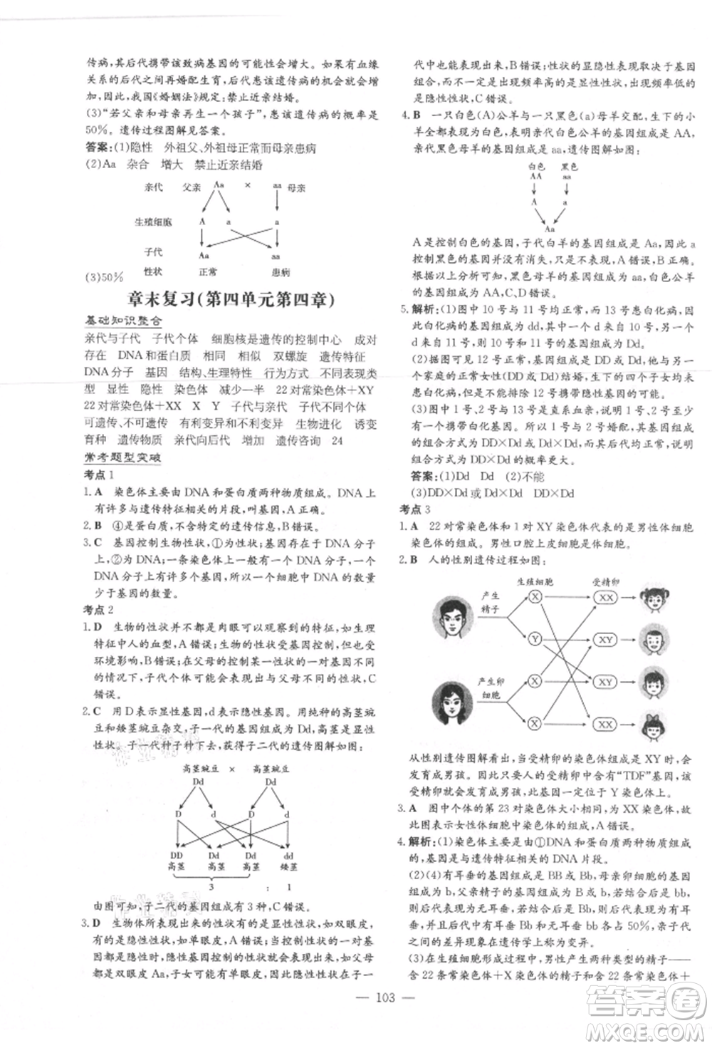 吉林教育出版社2021練案課時作業(yè)本八年級生物學上冊濟南版參考答案