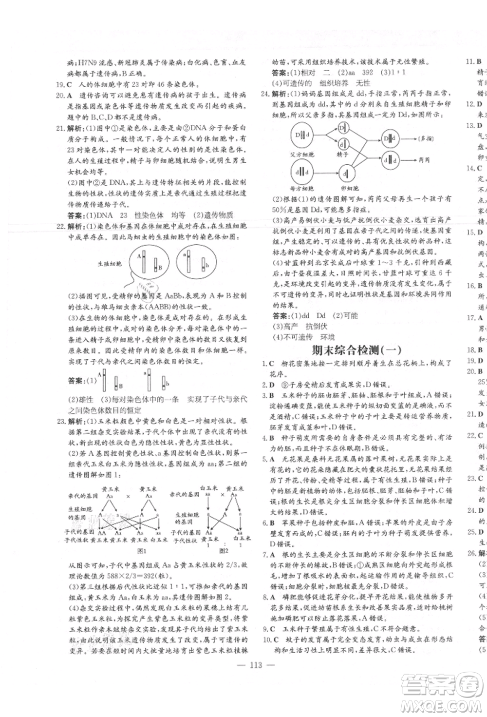 吉林教育出版社2021練案課時作業(yè)本八年級生物學上冊濟南版參考答案
