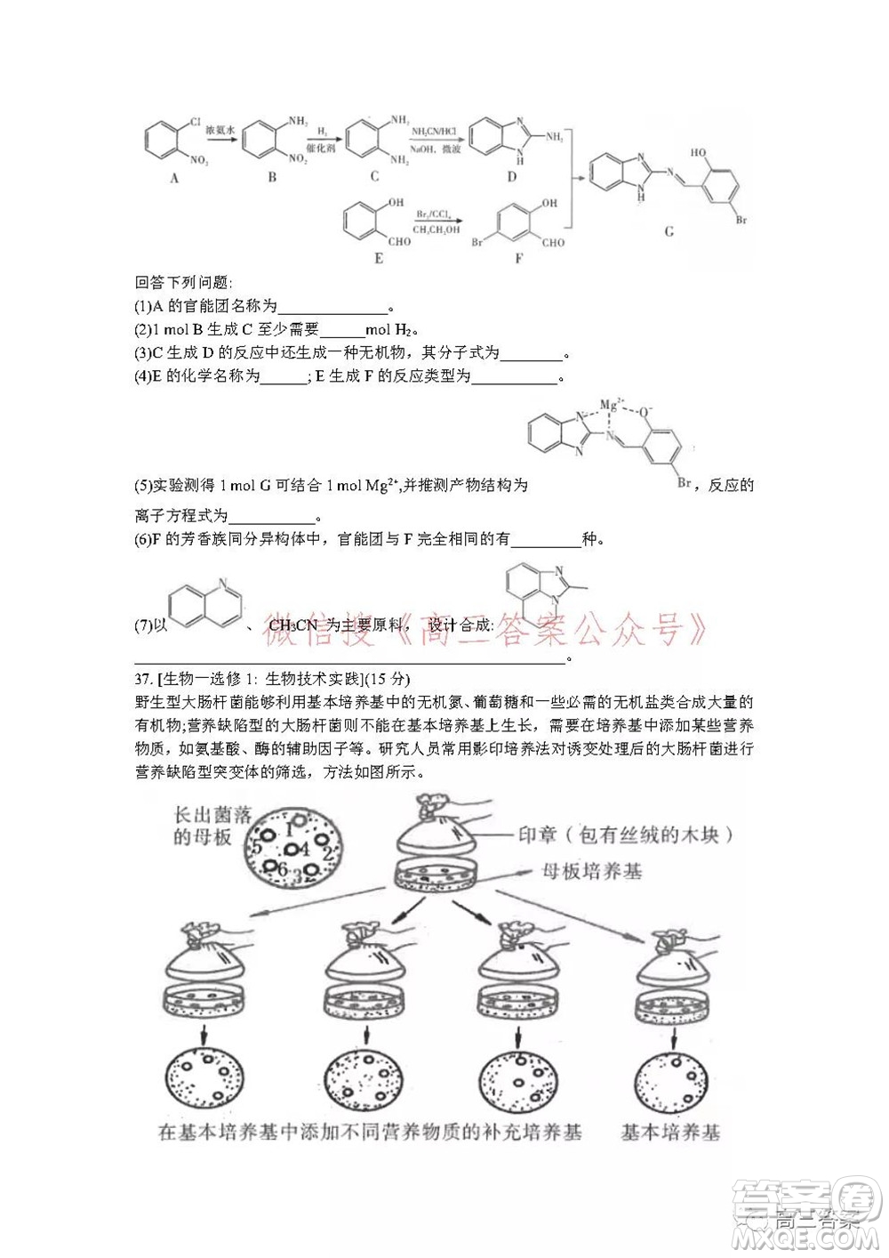 昆明市第一中學2022屆高中新課標高三第五次二輪復習檢測理科綜合試卷及答案