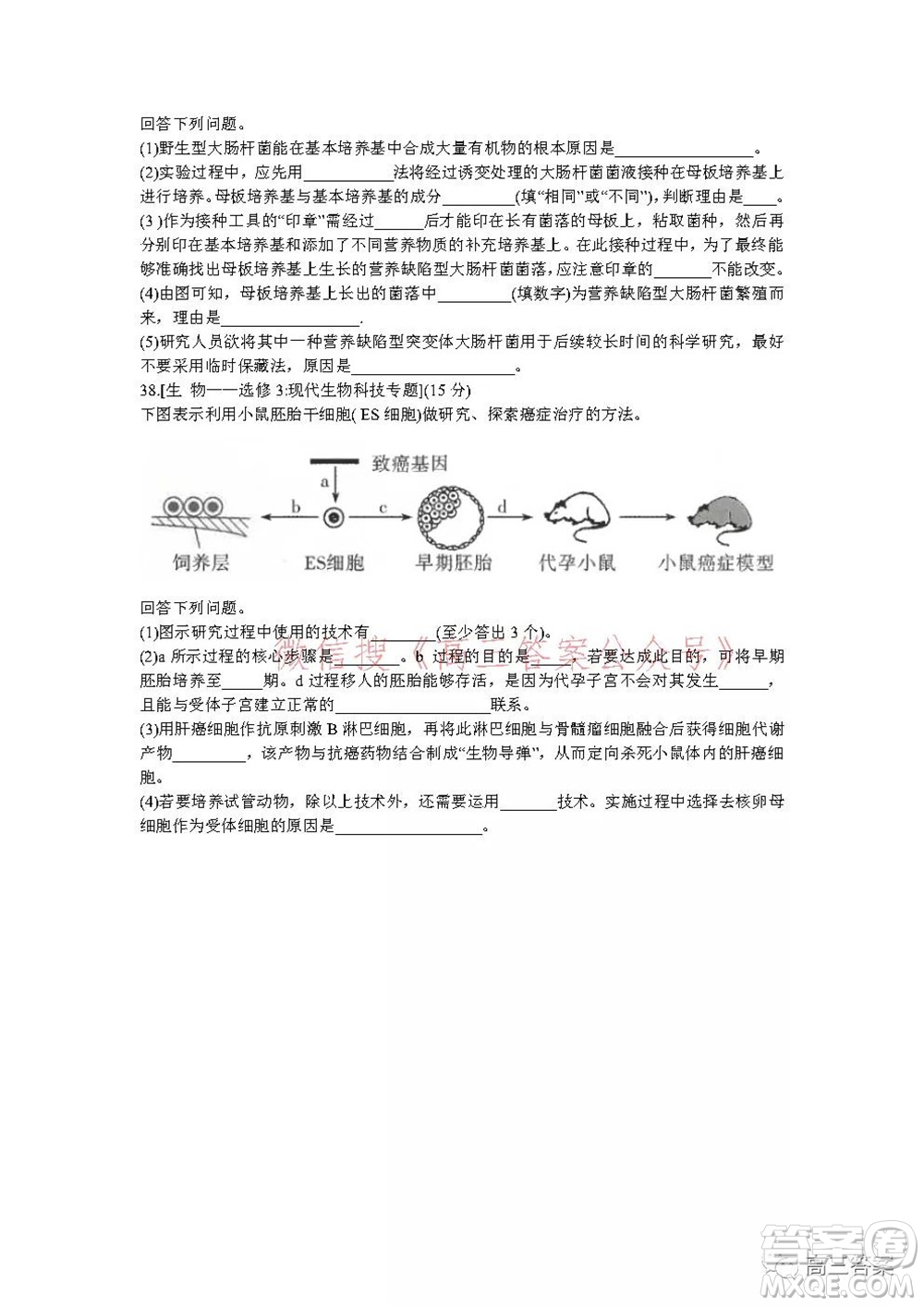昆明市第一中學2022屆高中新課標高三第五次二輪復習檢測理科綜合試卷及答案