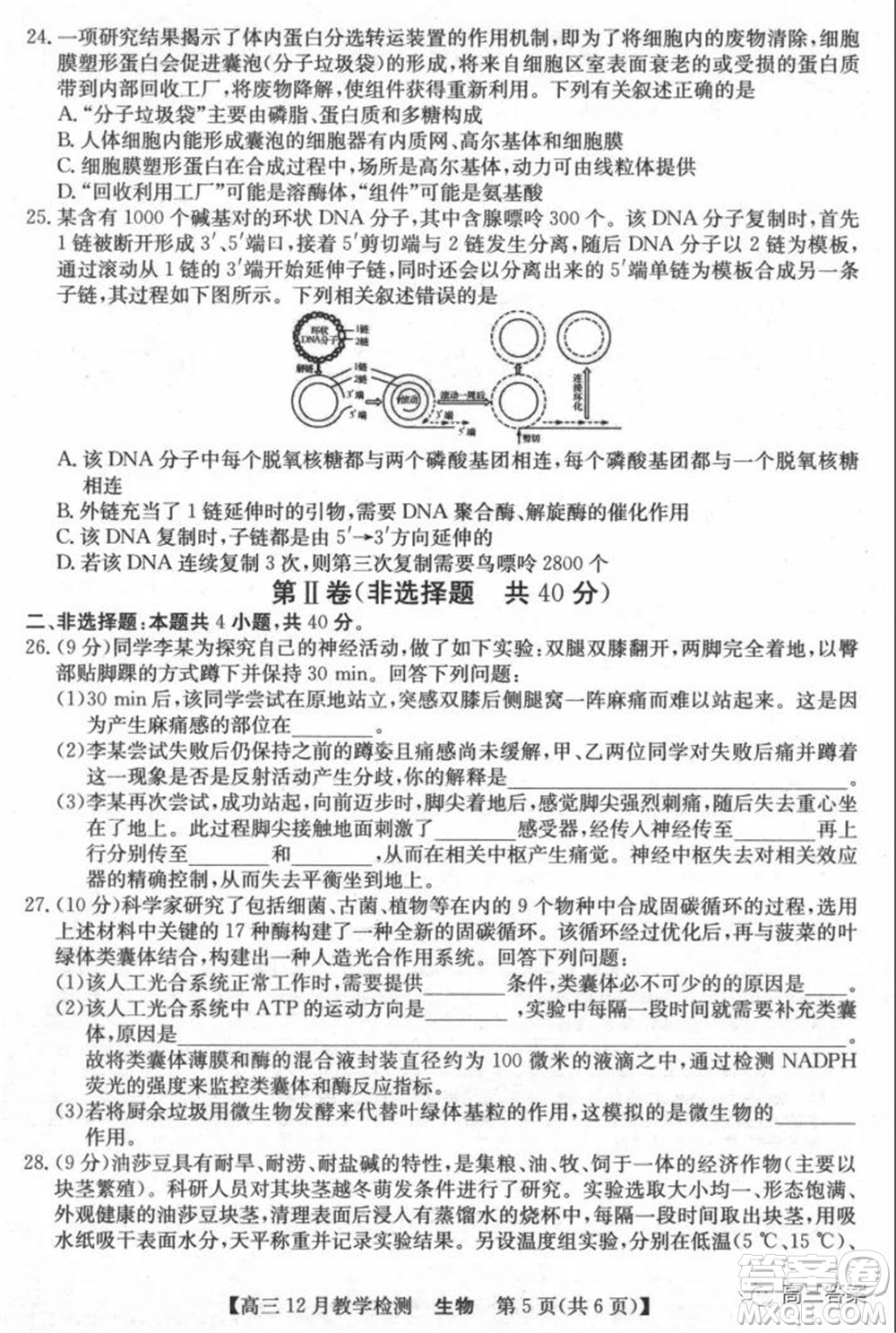 新視界高考聯(lián)盟2022屆高三12月教學(xué)檢測生物試題及答案
