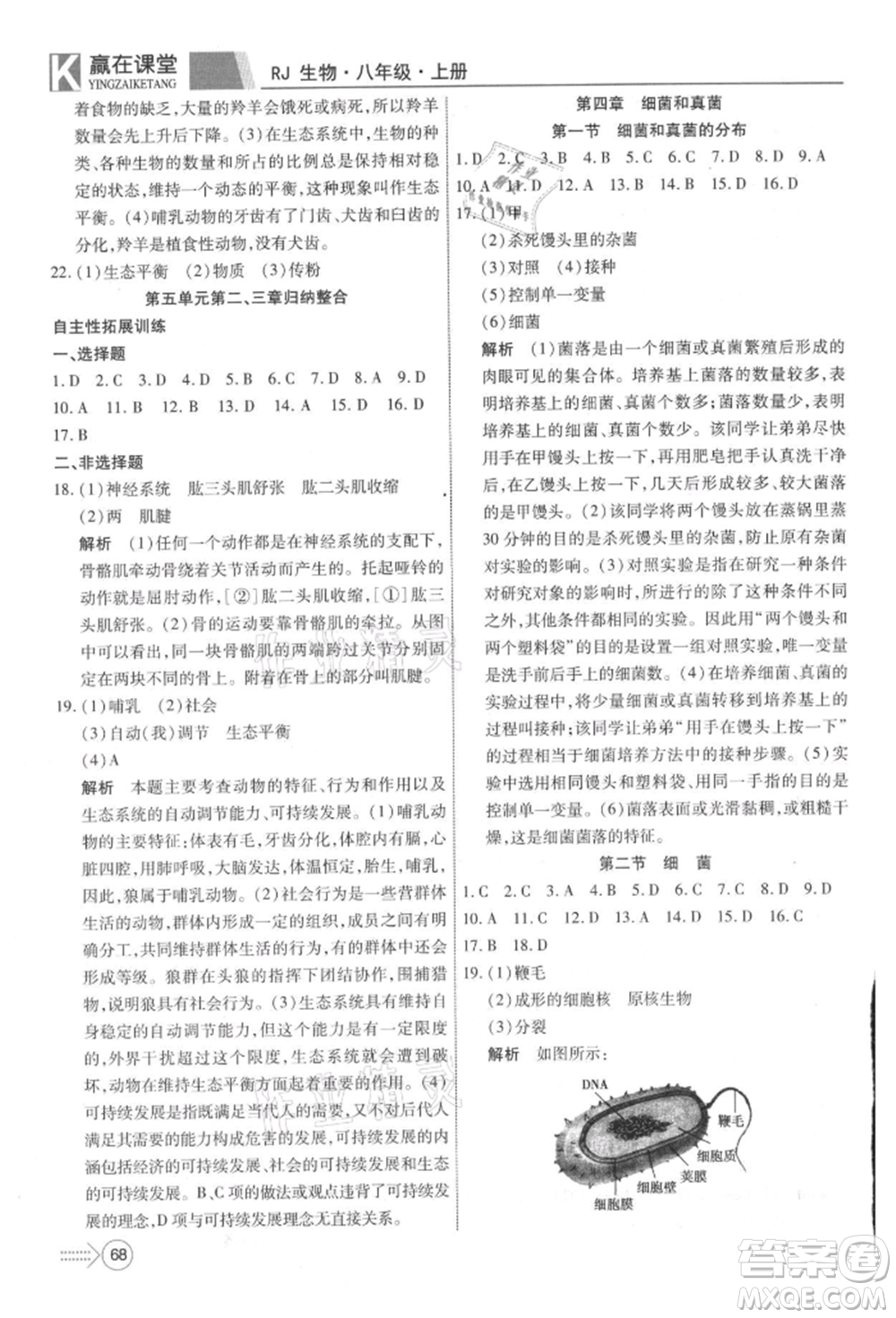 新疆文化出版社2021贏在課堂課堂全優(yōu)訓(xùn)練一本通八年級生物上冊人教版參考答案
